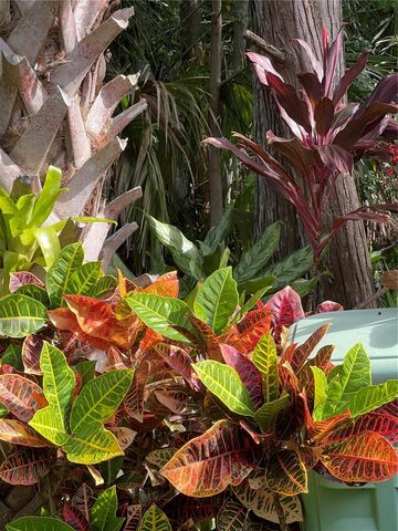 13812 MILL COVE CIRCLE 13812, Tampa, FL 33618