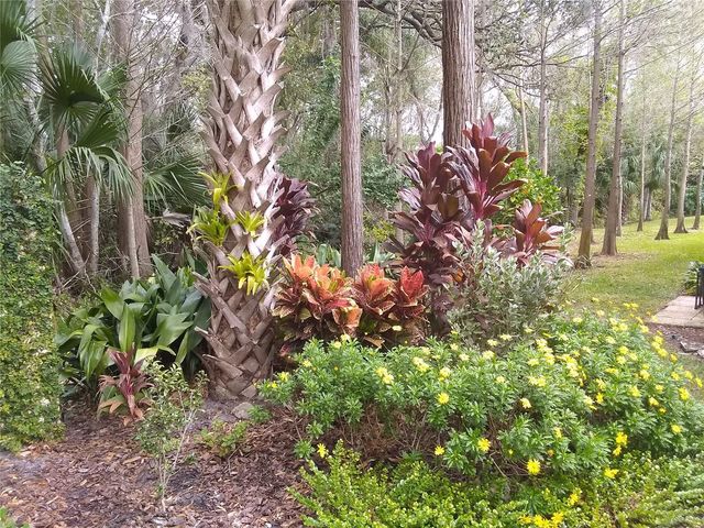 13812 MILL COVE CIRCLE 13812, Tampa, FL 33618