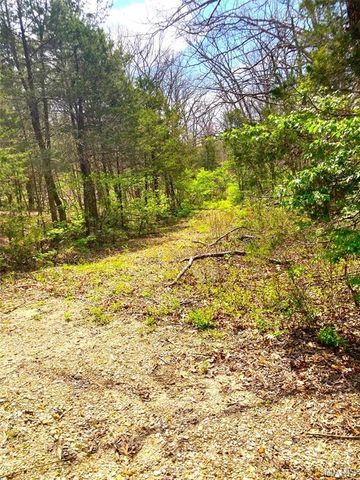 507 Pinewood Drive, Catawissa, MO 63015