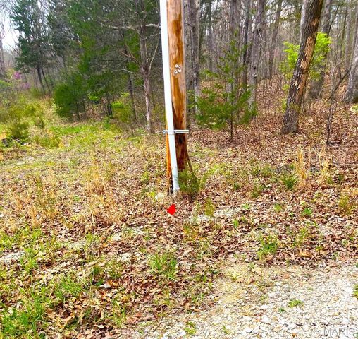 507 Pinewood Drive, Catawissa, MO 63015