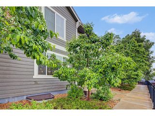 3502 Big Ben Dr D, Fort Collins, CO 80526