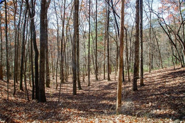 Lot124 Mountain View Road, Dawsonville, GA 30534