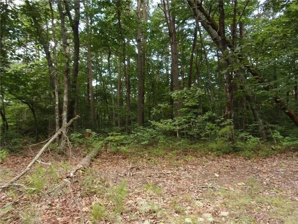 Lot124 Mountain View Road, Dawsonville, GA 30534