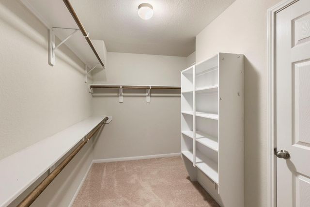 10158 N Whimbrel Circle, Conroe, TX 77385