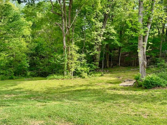 2397 Davidson Graveyard Rd, Clarksville, TN 37043