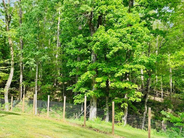 2397 Davidson Graveyard Rd, Clarksville, TN 37043