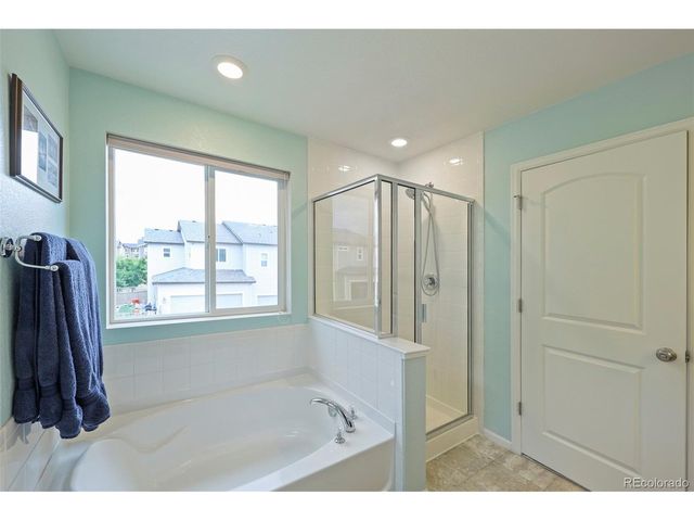 2821 Summer Day Ave, Castle Rock, CO 80109
