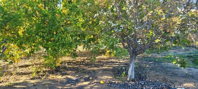 0 Calle Cuero, Temecula, CA 92590