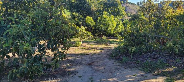 0 Calle Cuero, Temecula, CA 92590