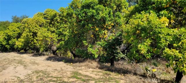 0 Calle Cuero, Temecula, CA 92590