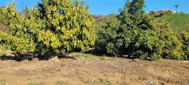 0 Calle Cuero, Temecula, CA 92590
