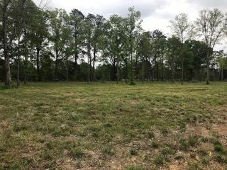 0 HWY 107 LOT F OAK RIDGE LANE OF OAK RIDGE SUB, Center Point, LA 71323