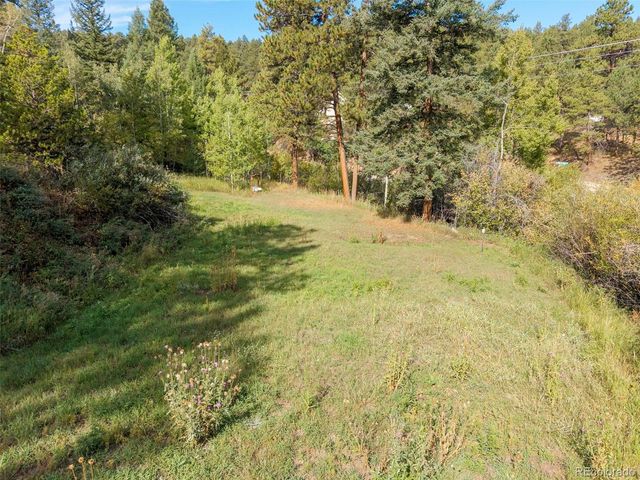 9552 Pine Springs Drive, Morrison, CO 80465