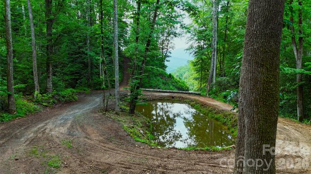0 The Falls Road 161.95+/- Acres, Union Mills, NC 28167