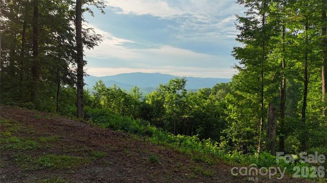 0 The Falls Road 161.95+/- Acres, Union Mills, NC 28167