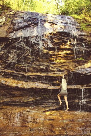 0 The Falls Road 161.95+/- Acres, Union Mills, NC 28167