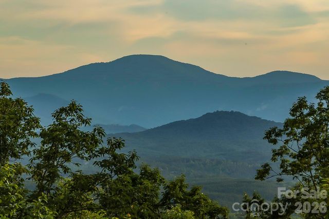 0 The Falls Road 161.95+/- Acres, Union Mills, NC 28167