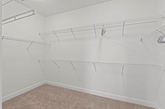 16462 Sea Turtle Place, Westlake, FL 33470