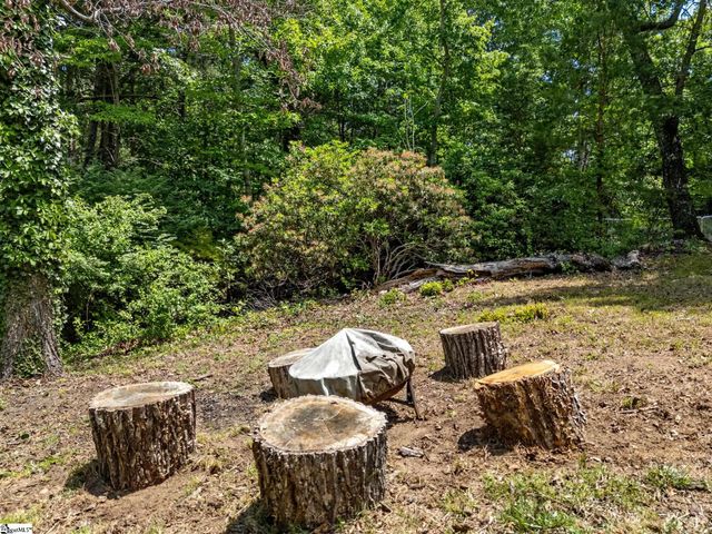 707 Dogwood Trail, Tryon, NC 28782