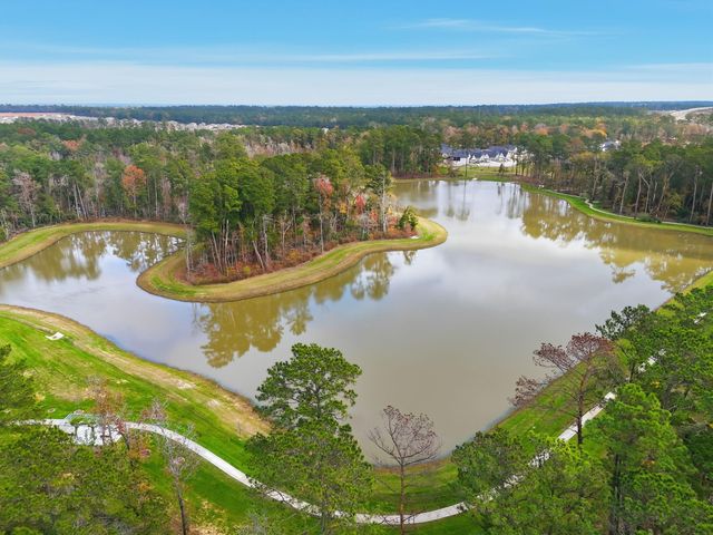 15114 Bank Swallow Place, Magnolia, TX 77354