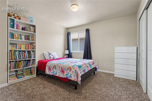 6598 Alliance Loop, Colorado Springs, CO 80925