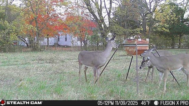 2617 N North Boulevard, Parsons, KS 67357