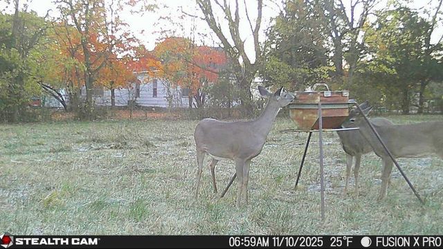 2617 N North Boulevard, Parsons, KS 67357