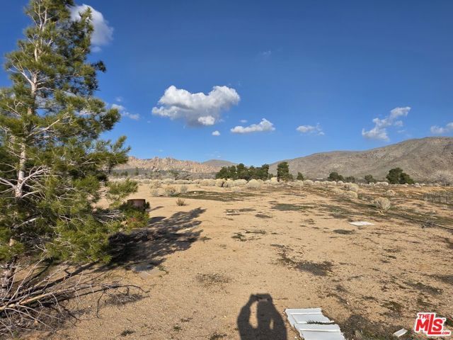 27003 Waalew Road, Apple Valley, CA 92307