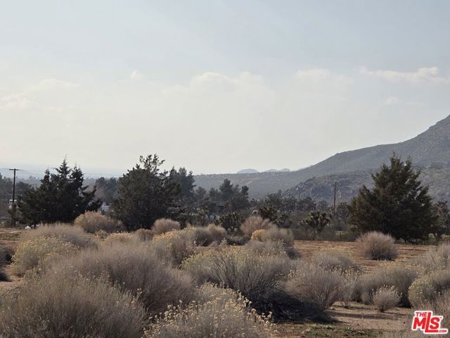 27003 Waalew Road, Apple Valley, CA 92307