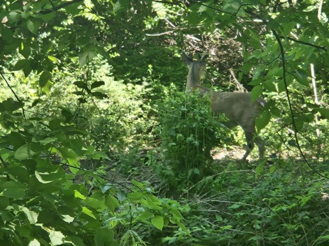 10498 SW 90th St, Augusta, KS 67010