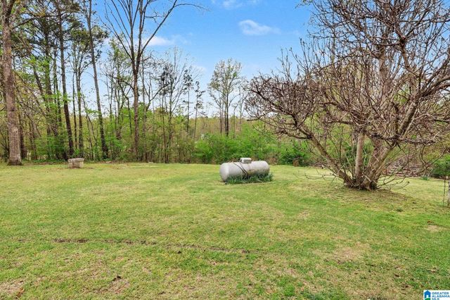 1287 COUNTY ROAD 135, Jemison, AL 35085
