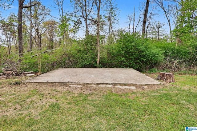 1287 COUNTY ROAD 135, Jemison, AL 35085