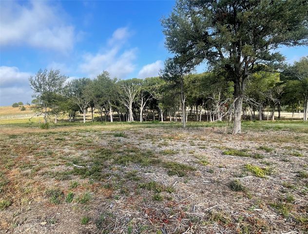 165 Caballo Drive, Oak Leaf, TX 75154