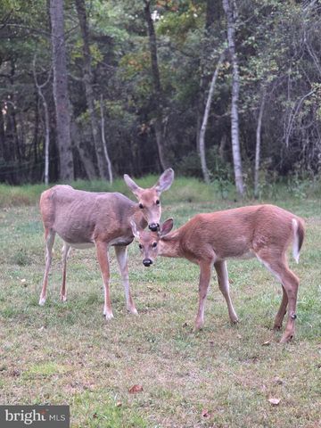 177 ELMWOOD DR, Albrightsville, PA 18210