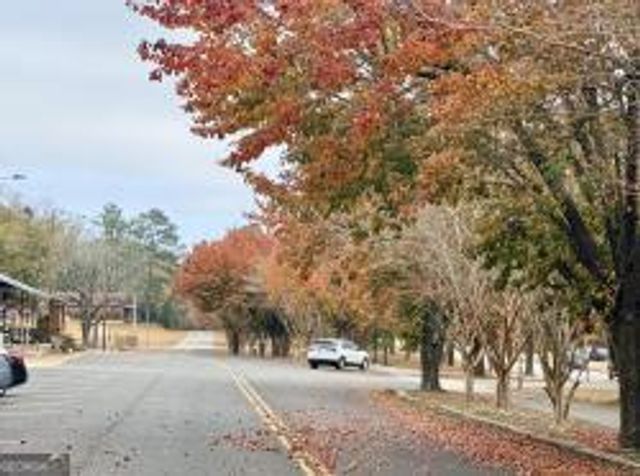 LOT 11 Rolling Meadows Way, Waverly Hall, GA 31831