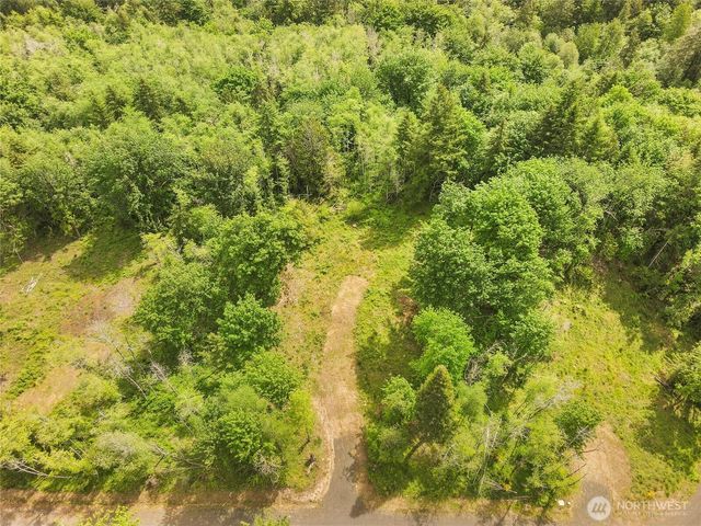131 E Cascara Cove Lane, Shelton, WA 98584
