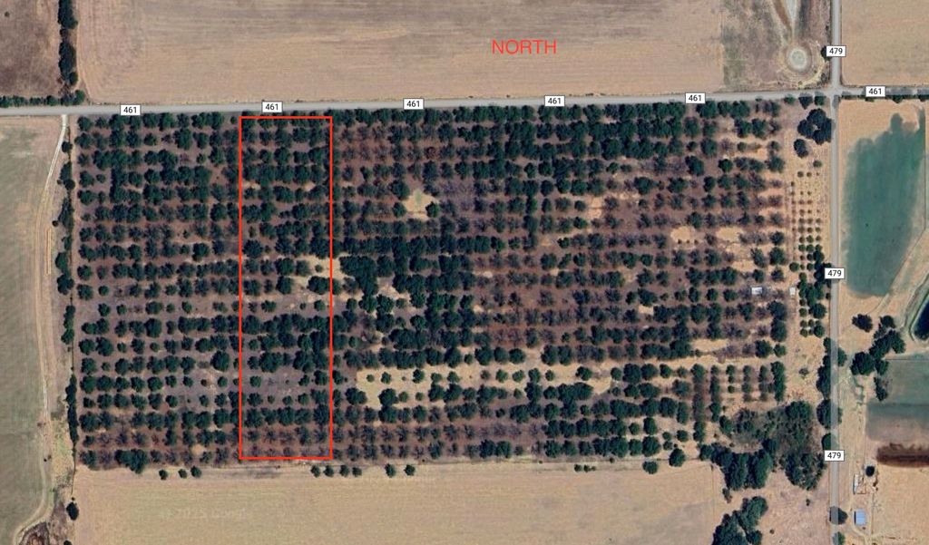 TBD County Road 461, De Leon, TX 76444