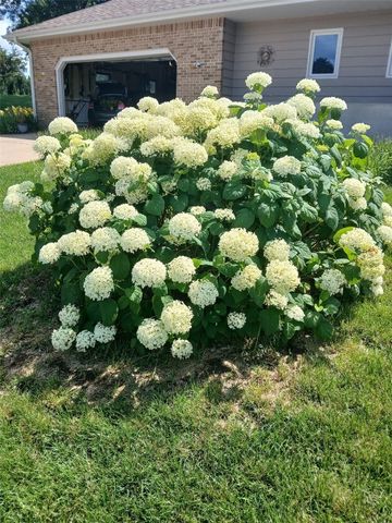 1688 17th Ave, Marion, IA 52302