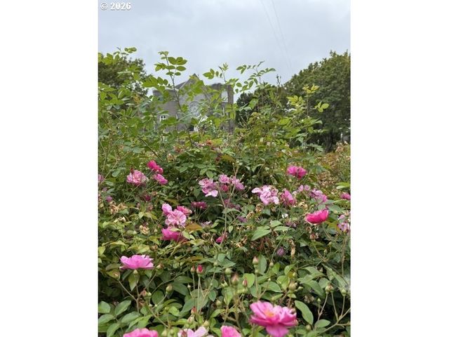 1450 Se PALM St, Portland, OR 97214