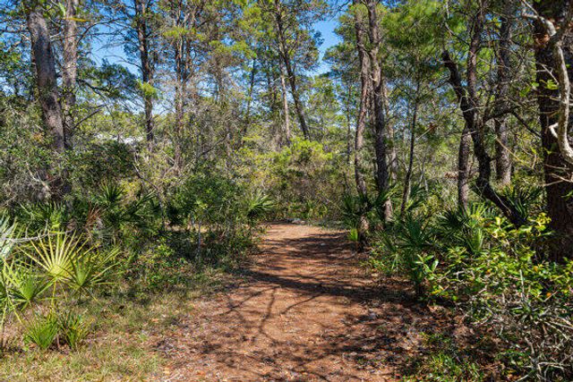 Lot 3 Blk4 W Cedar Bend Rd, Santa Rosa Beach, FL 32459