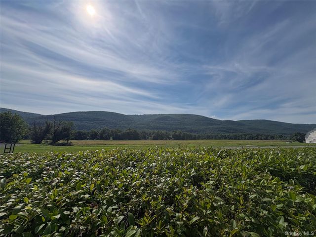 8532 Route 209, Ellenville, NY 12428