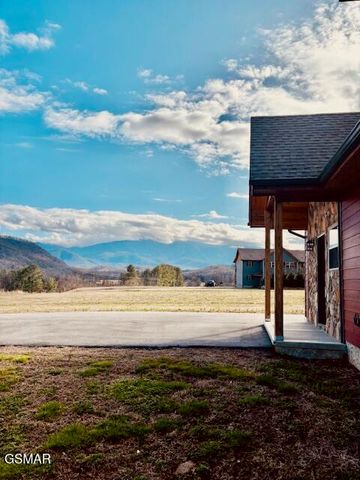 3863 Holders Grove Road, Cosby, TN 37722