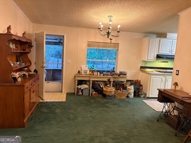 5802 River Trail, Blackshear, GA 31516