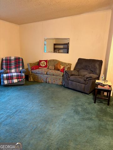 5802 River Trail, Blackshear, GA 31516