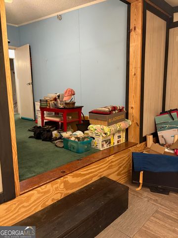 5802 River Trail, Blackshear, GA 31516