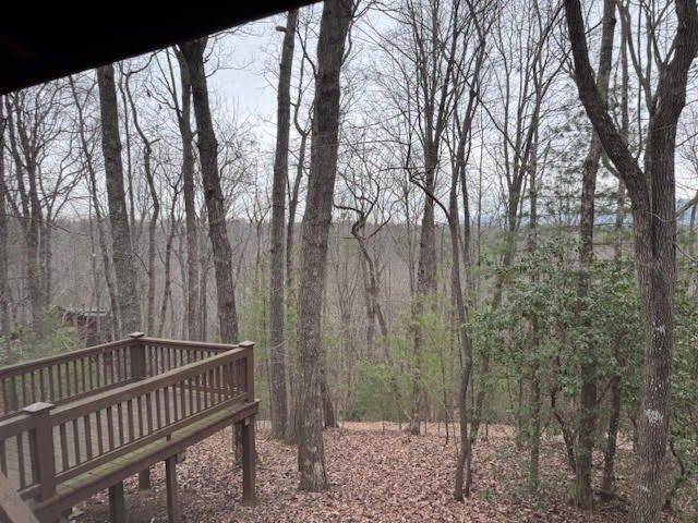 726 Cherry Lake Drive, Cherry Log, GA 30522