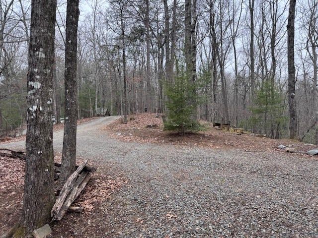 726 Cherry Lake Drive, Cherry Log, GA 30522