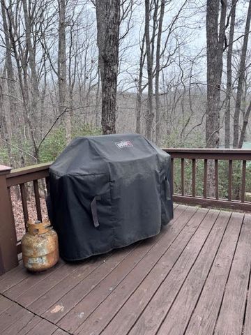 726 Cherry Lake Drive, Cherry Log, GA 30522