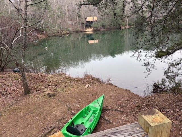 726 Cherry Lake Drive, Cherry Log, GA 30522