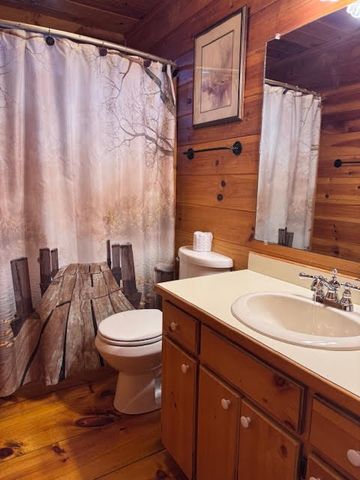 726 Cherry Lake Drive, Cherry Log, GA 30522